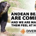 Beardsley Zoo to Renovate Bear Habitat