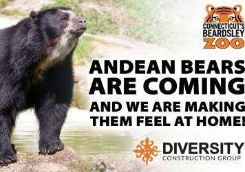 Beardsley Zoo – Andean Bear Exhibit